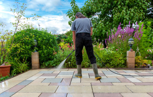 Animal Enclosure Cleaning in Owatonna, MN